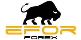 Efor FX