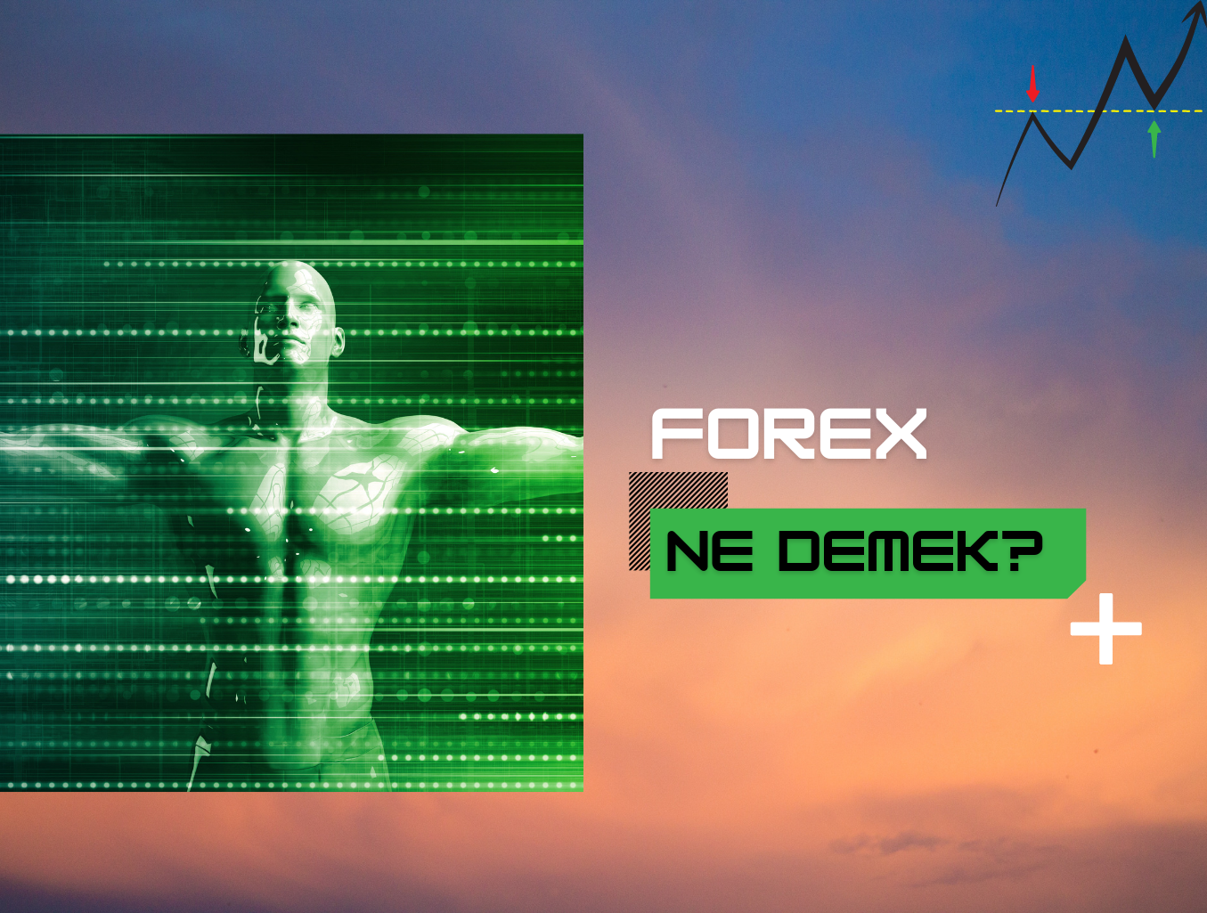 Forex Ne Demek